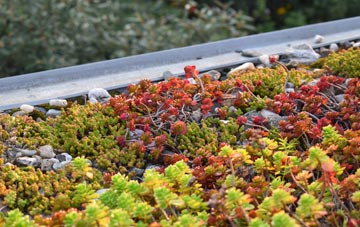 the cost of Spittalfield green roof installation