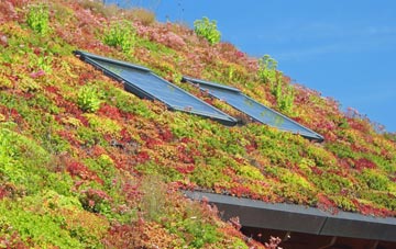 Spittalfield living roof systems